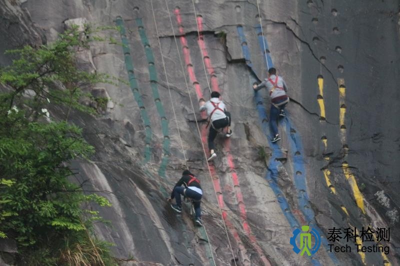 1561951698751463.jpg 4bfea3f86bb1a82fdc6f9f28f1f1e1ae_tZG734sD_Azyw.jpg